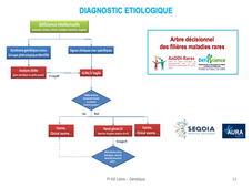 DFGSM3 - Semestre 2 - MED0601 - Génétique médicale - Seq 25