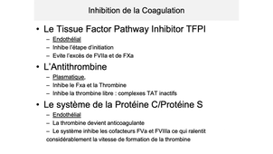 DFGSM2 / DFGSMa2 - MED0304 - Physiologie de l'hémostase - Régulation de la coagulation