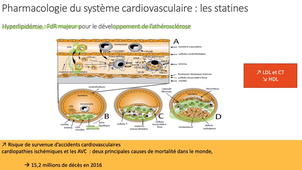 PASS / L.AS - UE 11 - Bases pharmacologiques du médicament - Définition et classes de médicaments (Partie 1)