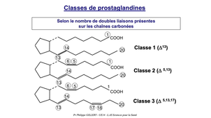 PASS / L.AS - UE 12 - Biochimie générale - Lipides : généralités, acides gras et eicosanoïdes