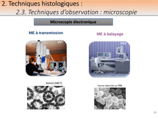 PASS / L.AS - UE 11 - Histologie - Généralités : les techniques histologiques, les microscopies, la notion de tissus - Partie 2