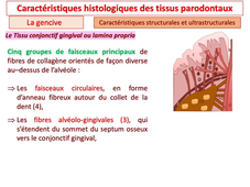 PASS / L.AS - UE 21 - EC 5 - Le parodonte : la gencive