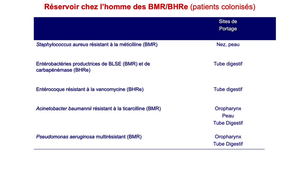 DFGSM3 - MED0501 - BMR et BHRe - Généralités