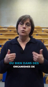 CIREF - Stages
