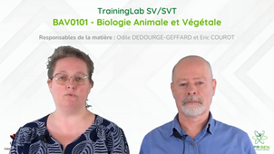 BAV0101 - Biologie Animale et Végétale