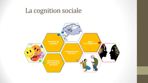 Cours 2 - Troubles psychotiques