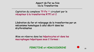 DFGSM2 / DFGSMa2 - MED0304 - Métabolisme du fer : partie 1