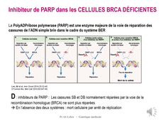 seq5_partie 4-SF_ASLebre_2025