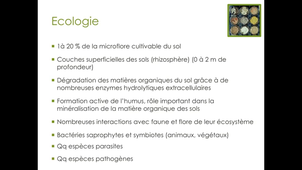 CM Streptomyces partie 2