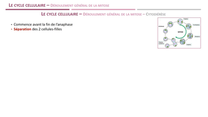 LAS - Module 9 - Séq 6