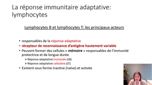 LAS 2 UE44 EC1 MEDECINE IMMUNOLOGIE 2 ORGANISATION DE LA REPONSE IMMUNE ADAPTATIVE A De la réponse innée à la réponse adaptative