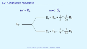 DFGSM2 - MED0302 - Magnétisme nucléaire et RMN - Aimantation résultante
