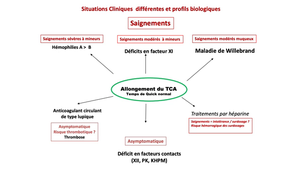 DFGSM2 - MEDLIB0403 - Physiopathologie des Hémophilies - Présentation de la pathologie et description des signes cliniques évocateurs