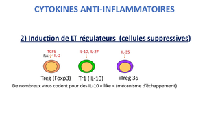 DFGSM2 - MED0306 - Réaction inflammatoire - Amplification (2/3)