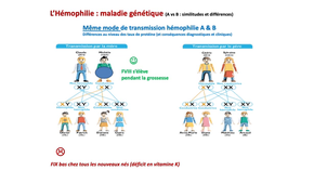DFGSM2 - MEDLIB0403 - Physiopathologie des Hémophilies - Génétique de l'hémophilie
