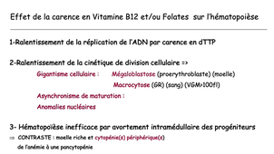 L.AS 3 - UE 64 - Hématologie - Métabolisme des vitamines B9 (folates) et B12 (cobalamines)