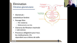 L.AS SpS - UE 23 - Pharmacologie - Notions de pharmacocinétique (Partie 3)