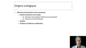 DFGSM3 - MED0605 - Reins et voies urinaires - Hématurie : orientation vers la provenance de l'hématurie