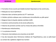 UE2EC2 - Tissu nerveux - V Vuiblet