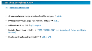 DFGSM2 - MED0302 - Carcinogenèse - Carcinogenèse virale - Oncovirus