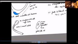 Paroi thoracique et diaphragme - P3