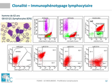 transformation lymphocytaire partie 1