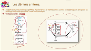 Les dérivés d'oses