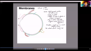 IFSI-Vision-Intro-mb-ext