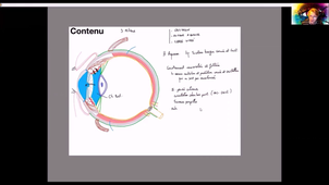 IFSI-Vision-mb-moy-int-contenu