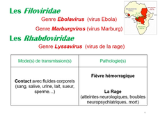 Virologie CM 3-6