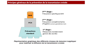 DFGSM3 - MED0501 - BMR et BHRe - Bactéries Hautement Résistantes aux antibiotiques Emergentes (BHRe)