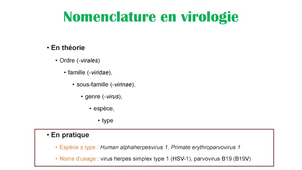 Introduction à la virologie