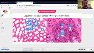 UE2EC2 - TD Histologie 1 - Tech et épith - VD + SC