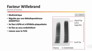L.AS 3ème année - Semestre 2 - UE 64 - Hématologie - 5