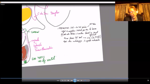 UE24 EC2_Testicules - P7