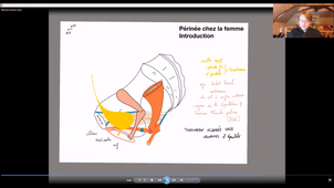 UE24 EC2_Périnée - P9