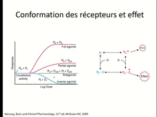 UE6 - CM3+5 - Dr. Djerada - Pharmacodynamie (3/6)