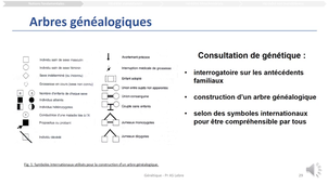 seq2_partie 1-SF_ASLebre_2025