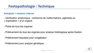 seq4_partie 3-SF_ASLebre_2025