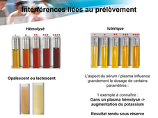 Les molécules constitutives du vivant et leurs fonctions 3 sur 3