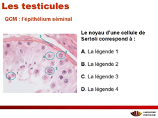 ED UE9-EC4 - QCM séquence 1 - SC