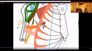 UE24 EC2_Gland mammaire - P5