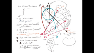 UE24 EC2_Bassin obstétrical - P5