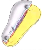 L.AS SpS - UE 24 - EC3 : Biologie de la reproduction et Embryologie - 3ème semaine : vidéo annexe n°3