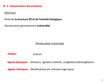 UE1-protides3+4 - DJ