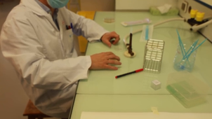 test de filamentation des levures