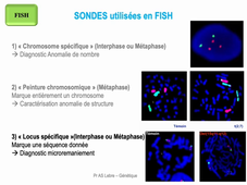 DFGSM3 - Semestre 2 - MED0601 - Génétique médicale - Seq 14