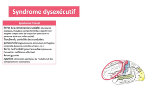 DFGSM2 - MED0308 - Sémiologie neurologique - Confusion mentale, désorientation / Troubles du langage / Troubles de la mémoire, déclin cognitif / Troubles de l'attention