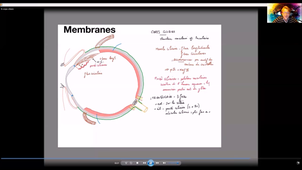Anatomie-vision - P6