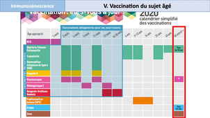 DFGSM3 - Semestre 1 - MEDLIB0505 - Immunosénescence : implications thérapeutiques